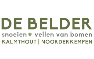 bomen-antwerpen-de-belder